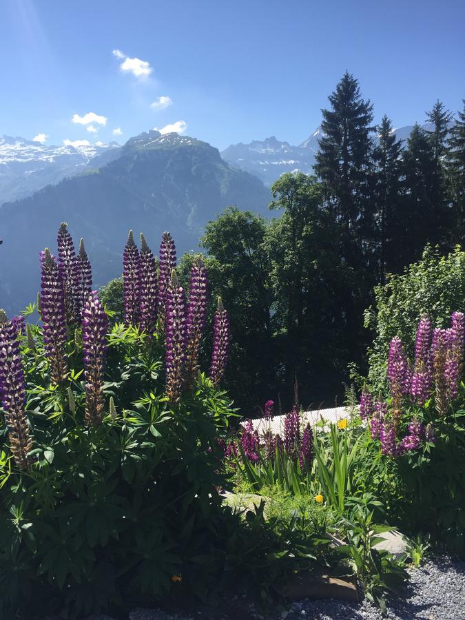 Hotel & Restaurant Stadthof Glarus Exteriér fotografie