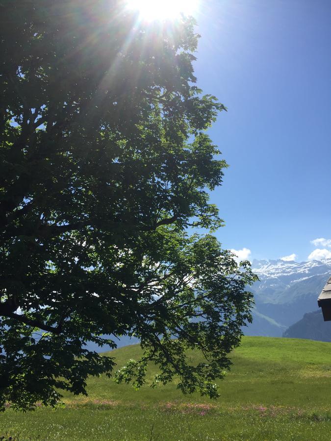 Hotel & Restaurant Stadthof Glarus Exteriér fotografie
